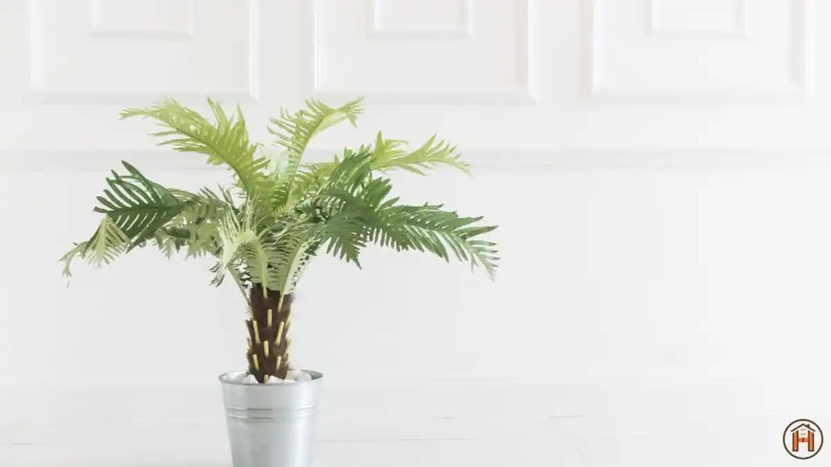 Palm-Tree-home-decoration-indoor